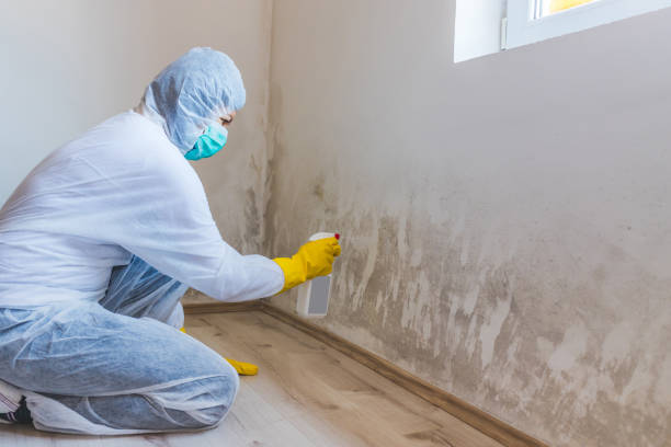 Mold inspector in Jamestown performing thermal imaging